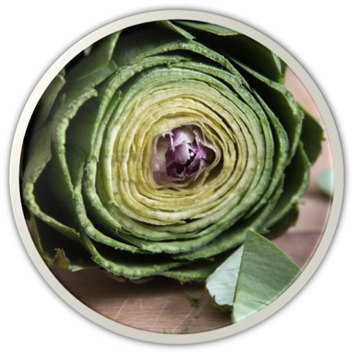 DR.HC Calendula Artichoke Toner (70ml, 2.4 fl.oz.) (Anti-acne, Anti-scar, Skin recovery, Pore shrinking...)Toner