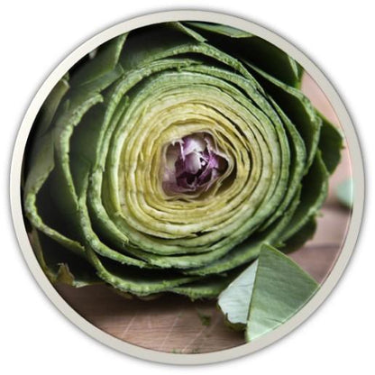 DR.HC Calendula Artichoke Toner (70ml, 2.4 fl.oz.) (Anti-acne, Anti-scar, Skin recovery, Pore shrinking...)Toner