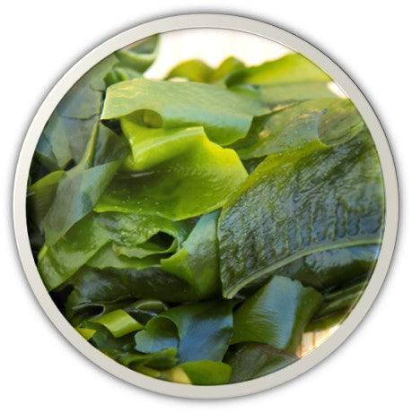 DR.HC Wakame Seaweeds Gel (25g, 0.9oz) (Soothing, Anti-acne, Skin Firming, Hydrating, Skin toning...)Moisturizer