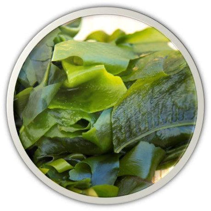 DR.HC Wakame Seaweeds Gel (25g, 0.9oz) (Soothing, Anti-acne, Skin Firming, Hydrating, Skin toning...)Moisturizer