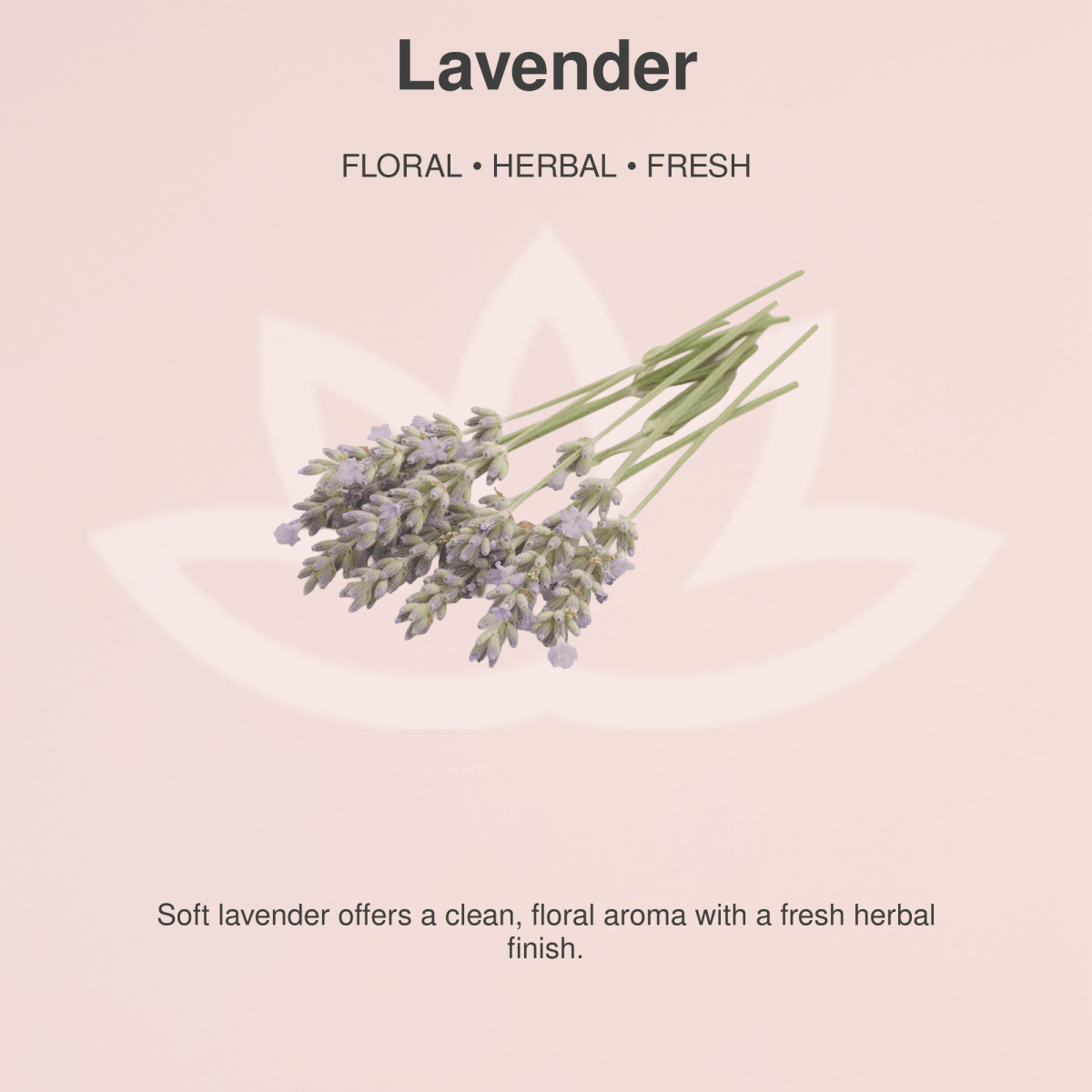 Organic Whipped Body Butter for Extremely Dry SkinLotions & Creams
