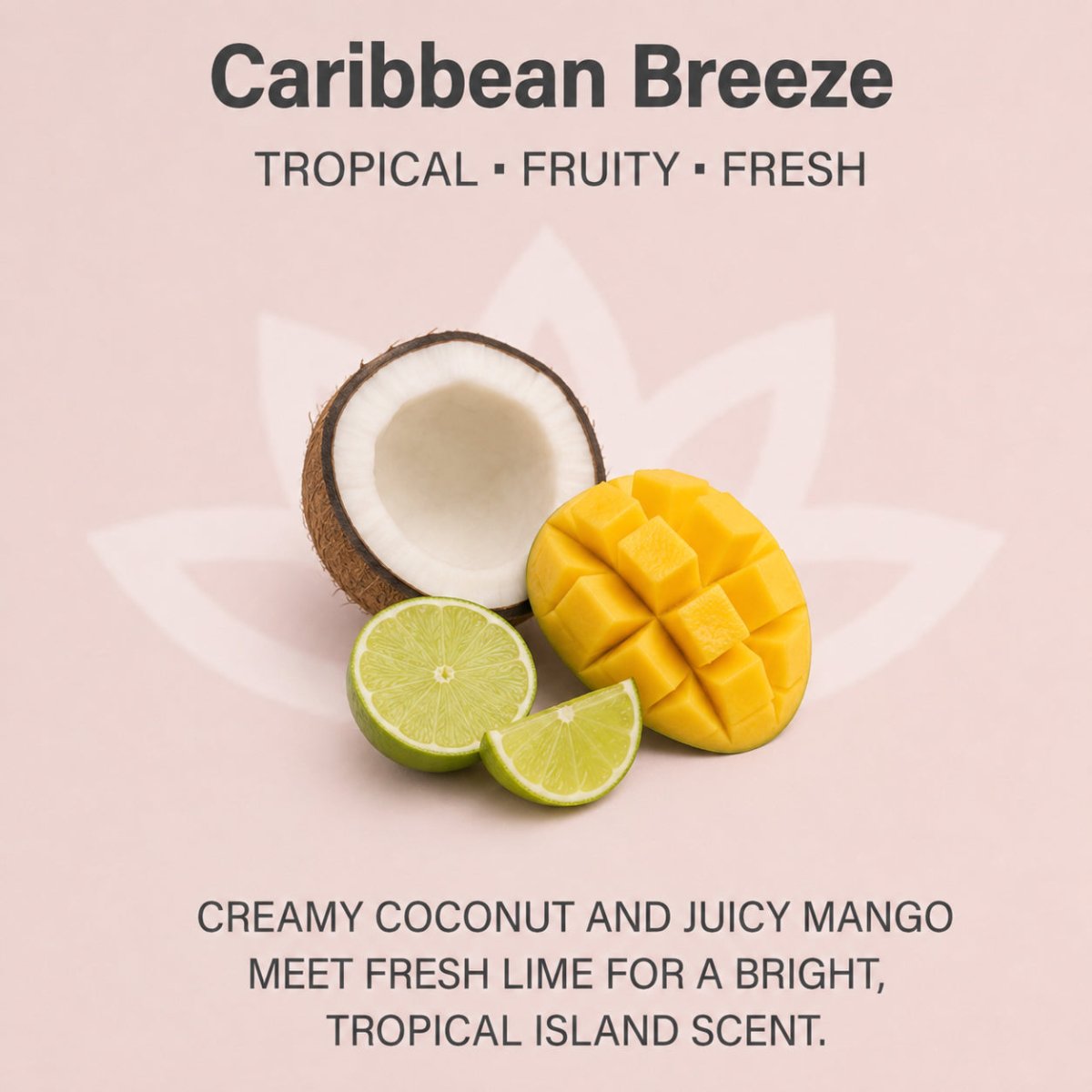 Organic Whipped Body Butter for Extremely Dry SkinLotions & Creams