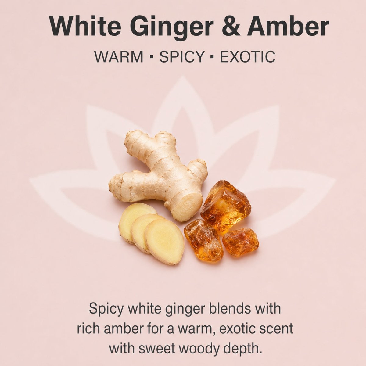 Organic Whipped Body Butter for Extremely Dry SkinLotions & Creams
