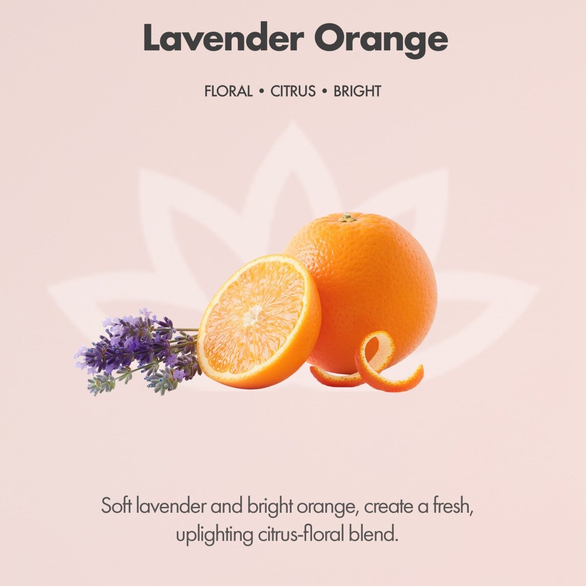 Organic Whipped Body Butter for Extremely Dry SkinLotions & Creams