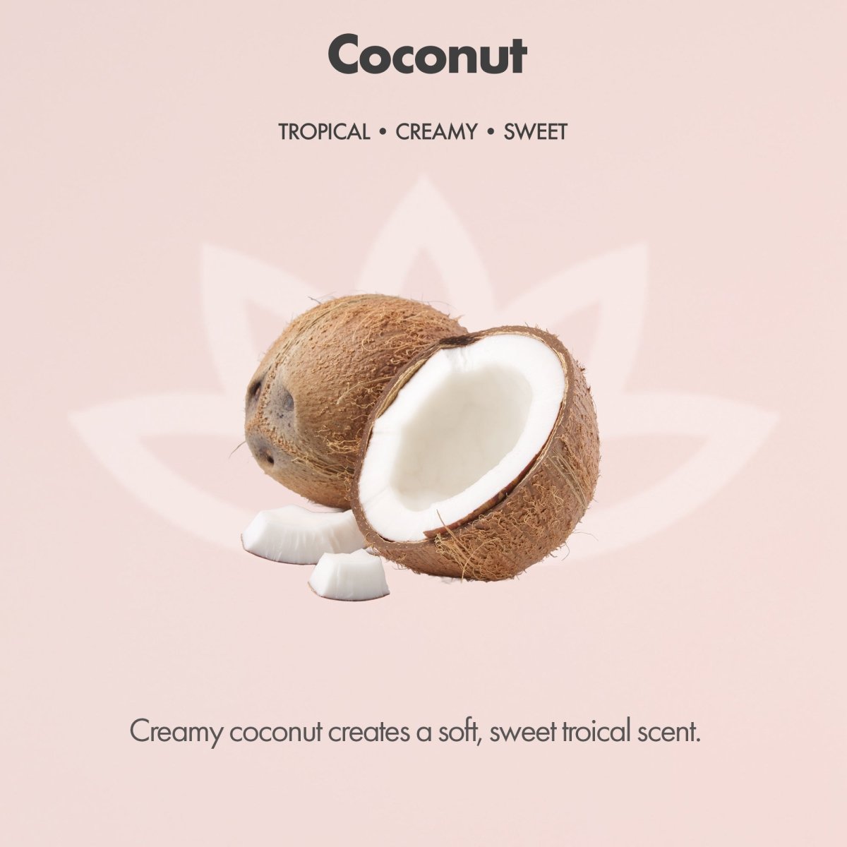Organic Whipped Body Butter for Extremely Dry SkinLotions & Creams